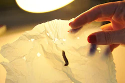 Mnet 125435 Wormsplastic