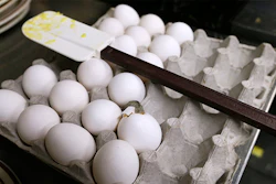 Mnet 154128 Eggs Listing New