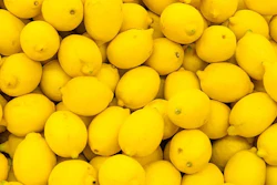 Mnet 106401 Lemons Large