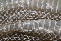 Mnet 125454 Snakeskin