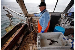 FILE- In this May 2, 2016 file photo, Richard Sawyer, Jr., fishes on Long Island Sound off Groton, Conn. Sawyer said he says he now catches less in a week than he used to catch in half of a day. Scientists say populations of lobsters off of Connecticut, Rhode Island and southern Massachusetts have declined as waters have warmed. (AP Photo/Robert F. Bukaty, File)