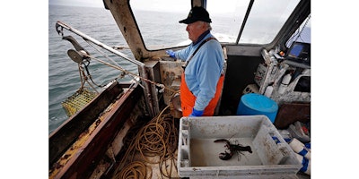 FILE- In this May 2, 2016 file photo, Richard Sawyer, Jr., fishes on Long Island Sound off Groton, Conn. Sawyer said he says he now catches less in a week than he used to catch in half of a day. Scientists say populations of lobsters off of Connecticut, Rhode Island and southern Massachusetts have declined as waters have warmed. (AP Photo/Robert F. Bukaty, File)