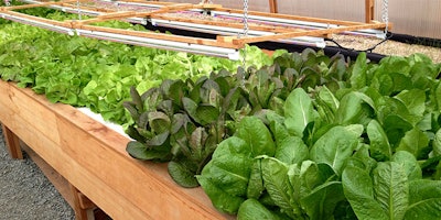 Mnet 154286 Alaska Greenhouses Listing Image