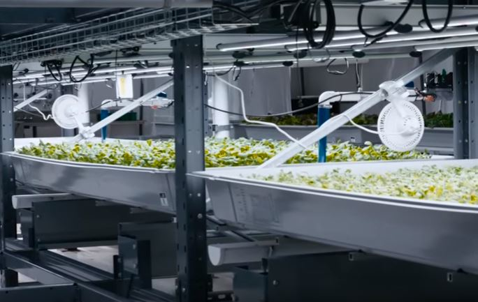 Mnet 107862 Hydroponic