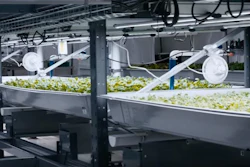 Mnet 107862 Hydroponic