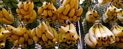 Mnet 193451 Wholesale Prices Bananas Ap
