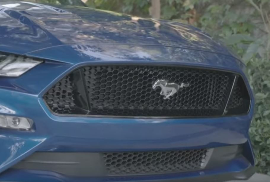 Mnet 108338 Mustang Cnn Capture