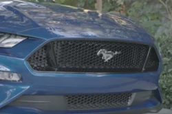 Mnet 108338 Mustang Cnn Capture