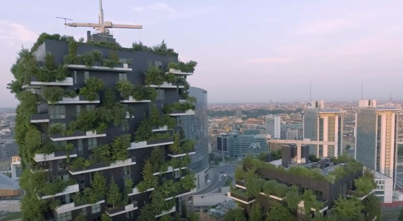 Mnet 108399 Green High Rises