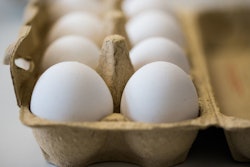 Eggs are kept fresh in an egg-box in a laboratory of the Chemical and Veterinary Investigation Office in Krefeld, Germany. Dutch investigators detained two men Thursday who are suspected of being involved in the illegal use of pesticide at poultry farms that sparked a massive food safety scare in several European countries. (Marcel Kusch/dpa via AP)