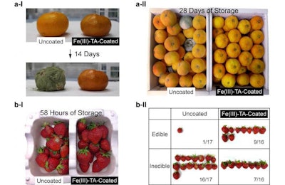 a-I, II : Uncoated and coated tangerines incubated for 14 and 28 days in daily-life settings b -I: Uncoated and coated strawberries incubated for 58 hours in daily-life settings b -II: Statistical investigation of the resulting edibility. CREDIT: KAIST