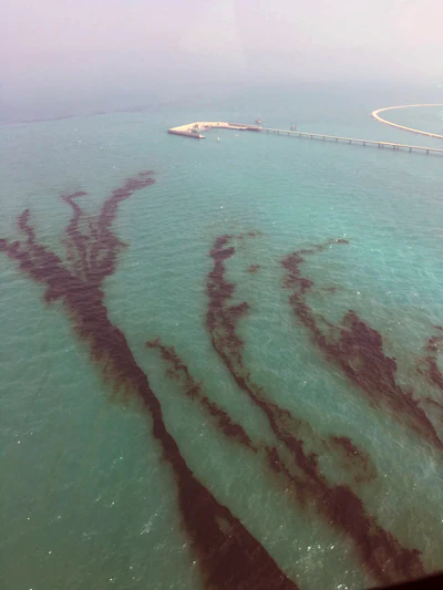 This Saturday Aug. 12, 2017 photo released by Kuwait Environment Public Authority, shows an oil spill near Kuwait's southern Ras al-Zour in Persian Gulf waters. (Kuwait Environment Public Authority via AP)