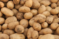 Mnet 154712 Potatohero