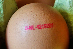 Mnet 154723 Belgium Egg Hero