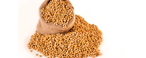Mnet 175475 Soybeans