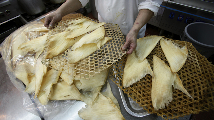 Mnet 154980 Sharkfins