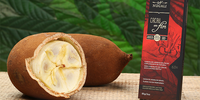 Brazilian Chocolate Manufacturers Tasting Success In Us Market Manufacturing Net