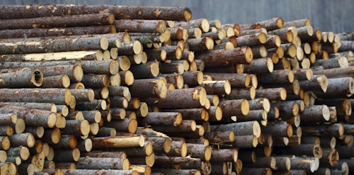 Mnet 109181 Canada Lumber Ap