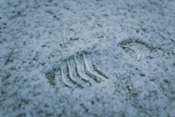 Mnet 126148 Snowboots