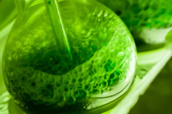 Mnet 126159 Greenchemistry