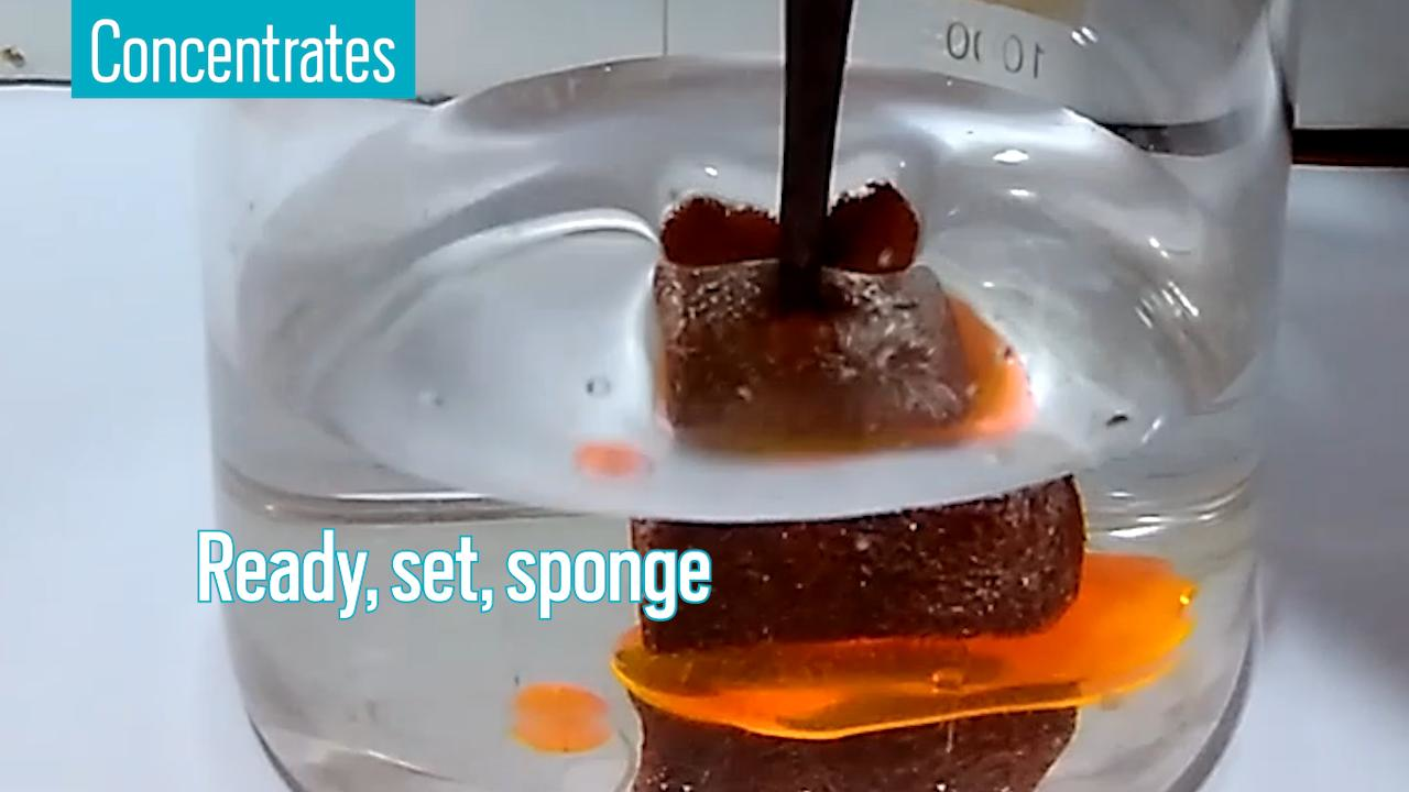 Mnet 126219 Spongespill