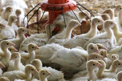 Mnet 155225 Usda Poultry Petition Listing