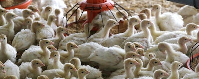 Mnet 155225 Usda Poultry Petition Listing