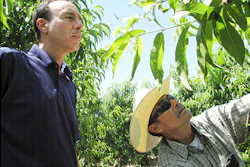 FILE - In this April 29, 2014 file photo, Dan Gerawan, owner of Gerawan Farming, Inc., left, talks with crew boss Jose Cabello in a nectarine orchard near Sanger, Calif. (AP Photo/Scott Smith, File)