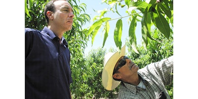 FILE - In this April 29, 2014 file photo, Dan Gerawan, owner of Gerawan Farming, Inc., left, talks with crew boss Jose Cabello in a nectarine orchard near Sanger, Calif. (AP Photo/Scott Smith, File)
