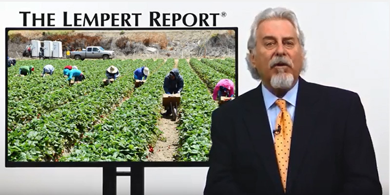 Mnet 155297 Lempert Dec11 Listing
