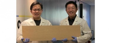 Liangbing Hu, left, and Teng Li, right, are engineers at the University of Maryland, College Park who have found a way to make wood more than 10 times stronger and tougher than before. Image credit: University of Maryland