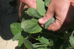 Mnet 126458 Weed Killer Crops Ap