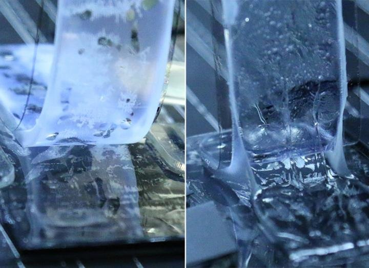 An unmodified hydrogel (left) peels off easily from an elastomer. A chemically-bonded hydrogel and elastomer (right) are tough to peel apart, leaving residue behind. Image credit: Suo Lab/Harvard SEAS