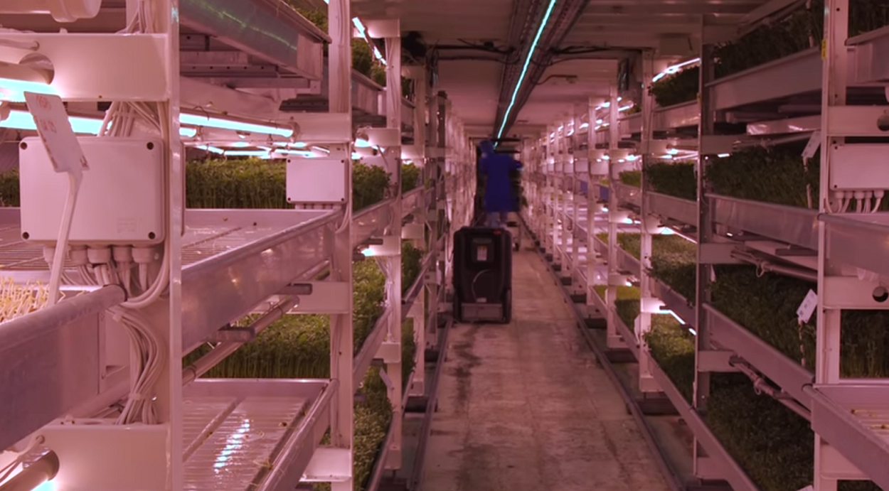 Mnet 110234 Underground Farm