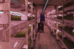 Mnet 110234 Underground Farm