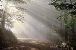 Mnet 110332 Rise 1789903 1280