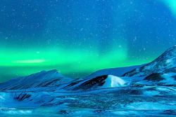 Mnet 126636 Alaska