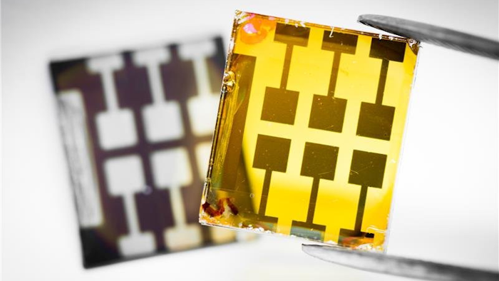 The lead-free double perovskite solar cells (yellow, in the front) compared with the lead-based device (dark, in the background). The next step is tune the color of the double perovskites into dark, so that they can absorb more light for efficient solar cells. Image credit: Linköping University