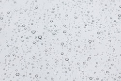 Mnet 126705 Moisture