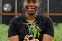 Mnet 126724 Marijuana Holiday Cannibis Industry Ap