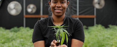 Mnet 126724 Marijuana Holiday Cannibis Industry Ap