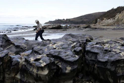 Mnet 126730 California Oil Spill Credit Ap Jae Hong