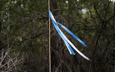 In this April 27, 2018 photo, a flag marks where swampland is going to be cleared for a new pipeline on Bayou Sorrel in the Atchafalaya River Basin in Louisiana. A company building a crude oil pipeline in Louisiana is asking a federal appeals court to throw out a judge's order that had suspended construction work in the environmentally fragile swamp. A three-judge panel of the 5th U.S. Circuit Court of Appeals is scheduled to hear arguments Monday, April 30, by attorneys for Bayou Bridge Pipeline LLC, federal regulators and environmental groups opposed to the project. In February, a judge temporarily stopped all pipeline construction work in the Atchafalaya Basin. (AP Photo/Gerald Herbert)