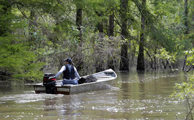 In this Friday, April 27, 2018 photo, a local craw fisherman motors her boat on Bayou Sorrel in the Atchafalaya River Basin in Louisiana. A company building a crude oil pipeline in Louisiana is asking a federal appeals court to throw out a judge's order that had suspended construction work in an environmentally fragile swamp. A three-judge panel of the 5th U.S. Circuit Court of Appeals is scheduled to hear arguments Monday, April 30, by attorneys for Bayou Bridge Pipeline LLC, federal regulators and environmental groups opposed to the project. In February, a judge temporarily stopped all pipeline construction work in the Atchafalaya Basin. (AP Photo/Gerald Herbert)
