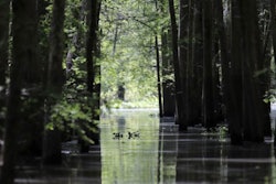 Mnet 126765 Louisiana Ap Photo Gerald Herbert