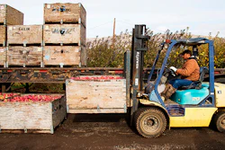 FILE- In this Nov. 14, 2017, file photo Jaìme Ceja operates a forklift while loading boxes of Red Delicious apples on to a trailer during his shift in an orchard in Tieton, Wash. Cherry and apple growers in Washington state are worried their exports to China will be hurt by a trade war that escalated on Monday when that country raised import duties on a $3 billion list of products. (Shawn Gust/Yakima Herald-Republic via AP, File)