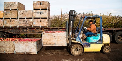 FILE- In this Nov. 14, 2017, file photo Jaìme Ceja operates a forklift while loading boxes of Red Delicious apples on to a trailer during his shift in an orchard in Tieton, Wash. Cherry and apple growers in Washington state are worried their exports to China will be hurt by a trade war that escalated on Monday when that country raised import duties on a $3 billion list of products. (Shawn Gust/Yakima Herald-Republic via AP, File)