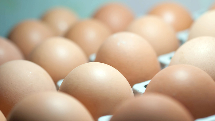 Mnet 155806 Eggshero