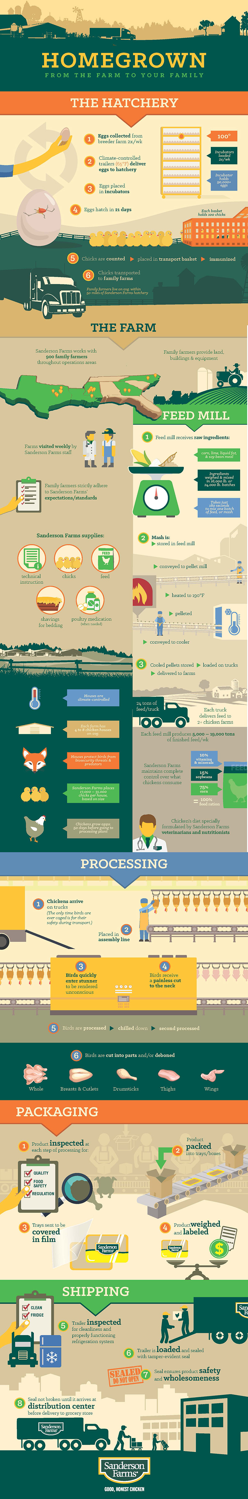 Mnet 155857 Sanderson Farms Homegrown Infographic Inside