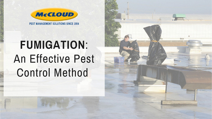 Mnet 155866 Mc Cloud Fumigation Listing